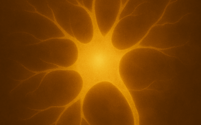 The Body Keeps the Wisdom: Why We Use Somatic Therapy to Heal Trauma