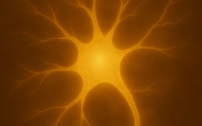 The Body Keeps the Wisdom: Why We Use Somatic Therapy to Heal Trauma